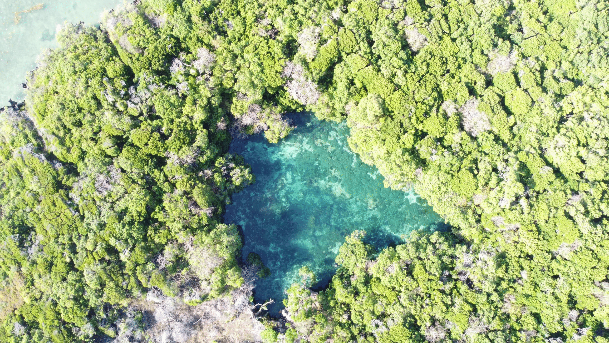 4-Day Mafia Island Explorer