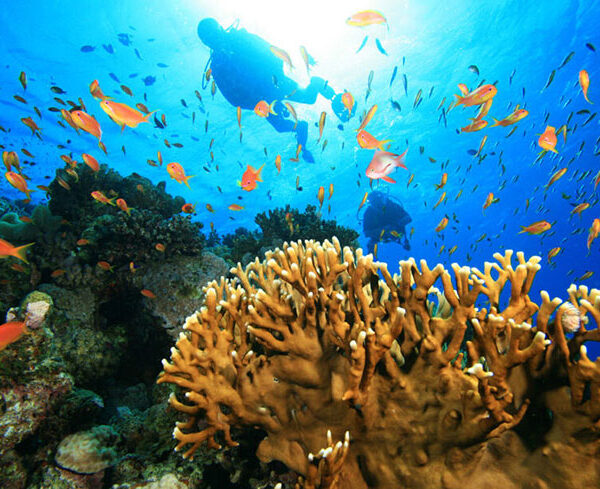 Diving & Snorkelling